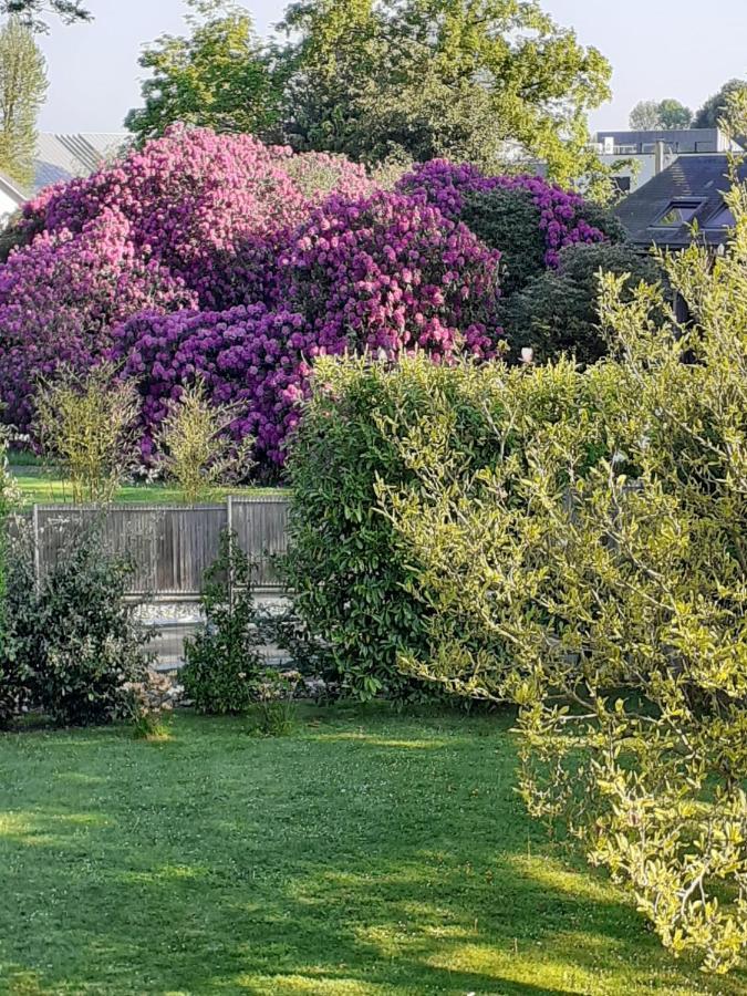 Manoir De L'As De Trefle Panzió Isneauville Kültér fotó