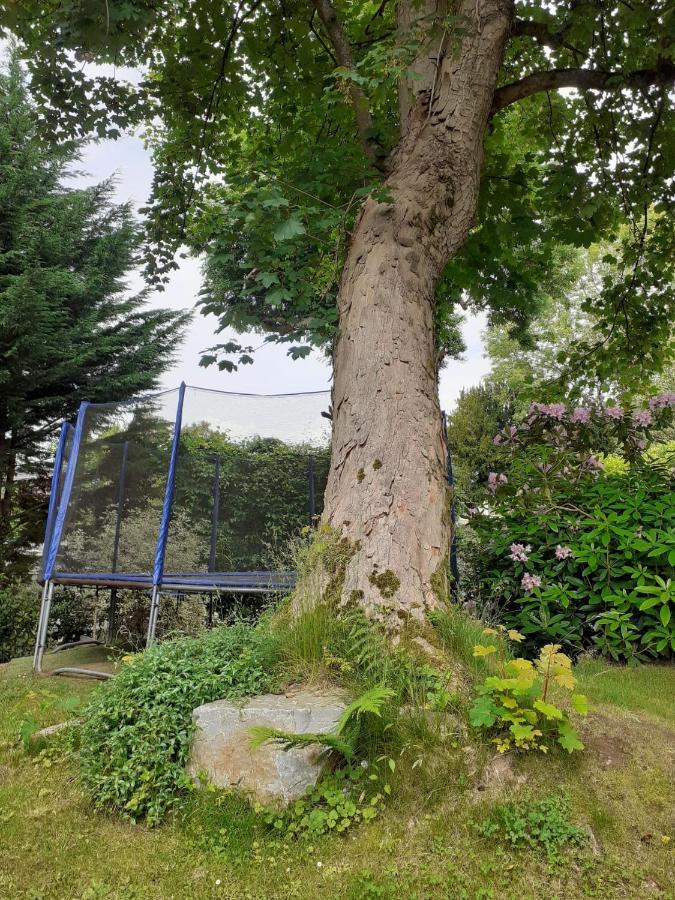 Manoir De L'As De Trefle Panzió Isneauville Kültér fotó