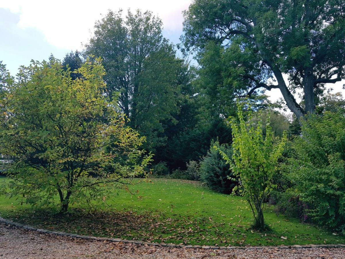 Manoir De L'As De Trefle Panzió Isneauville Kültér fotó